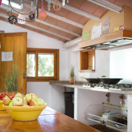 Integro 42plazas En Total Hostal