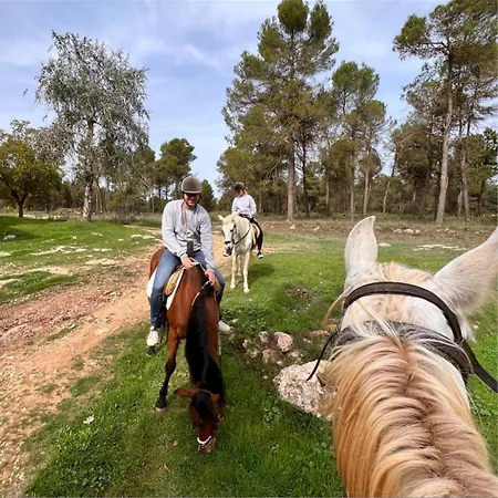 Хостел Riera D'agres, Relax, Rural, Grupos *